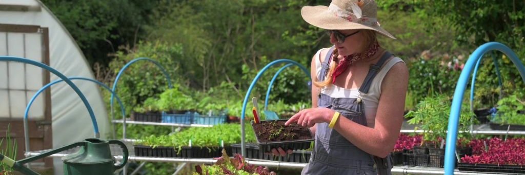 Schumacher College banner