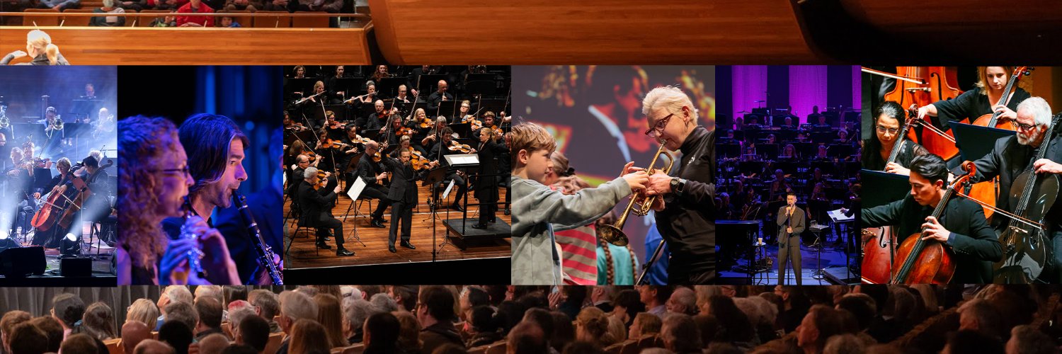 NZSO banner