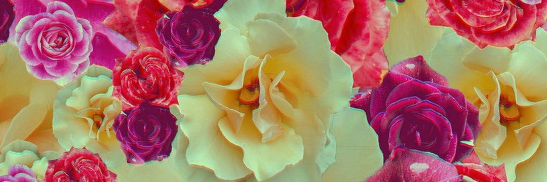 Loidebottom's profile banner image
