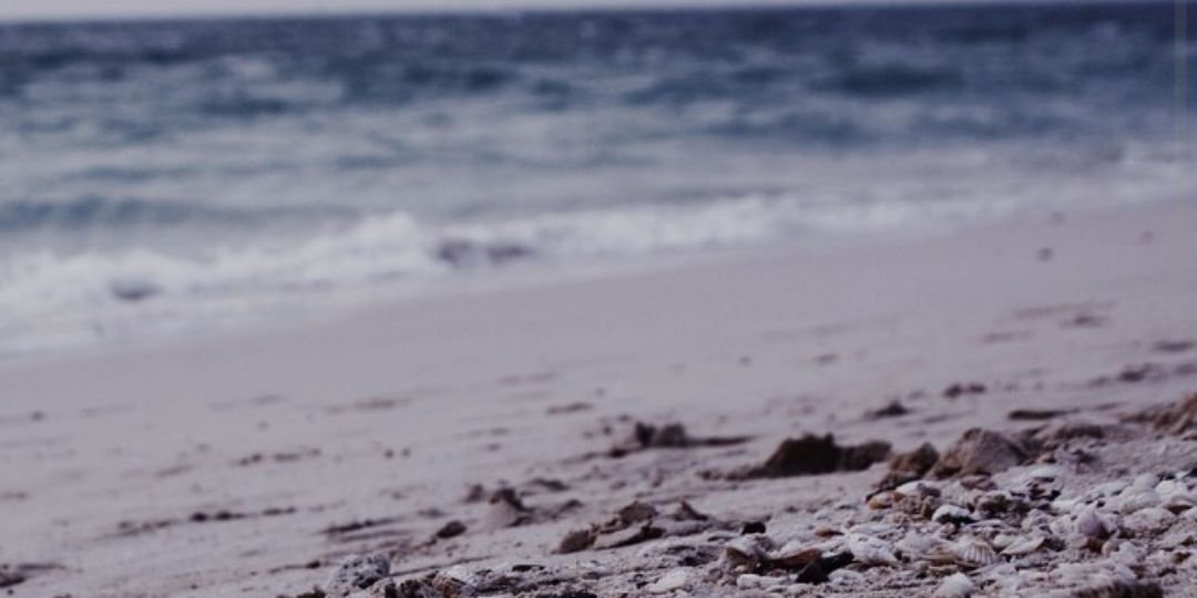 hudaalsehli's profile banner image