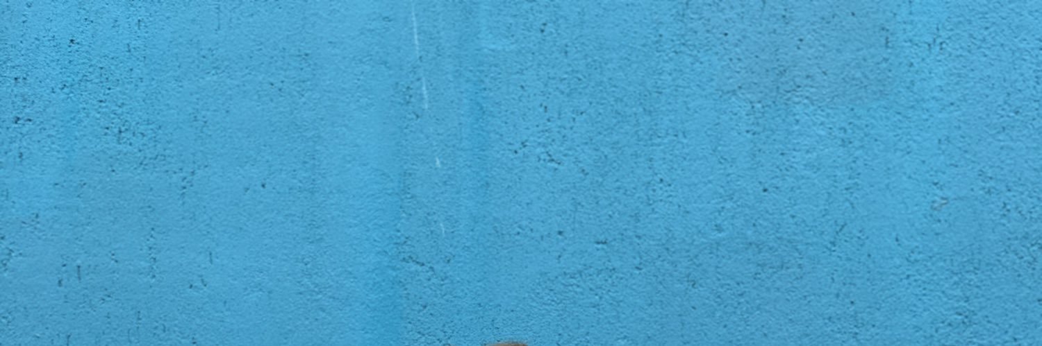 ferguu_lol's profile banner image