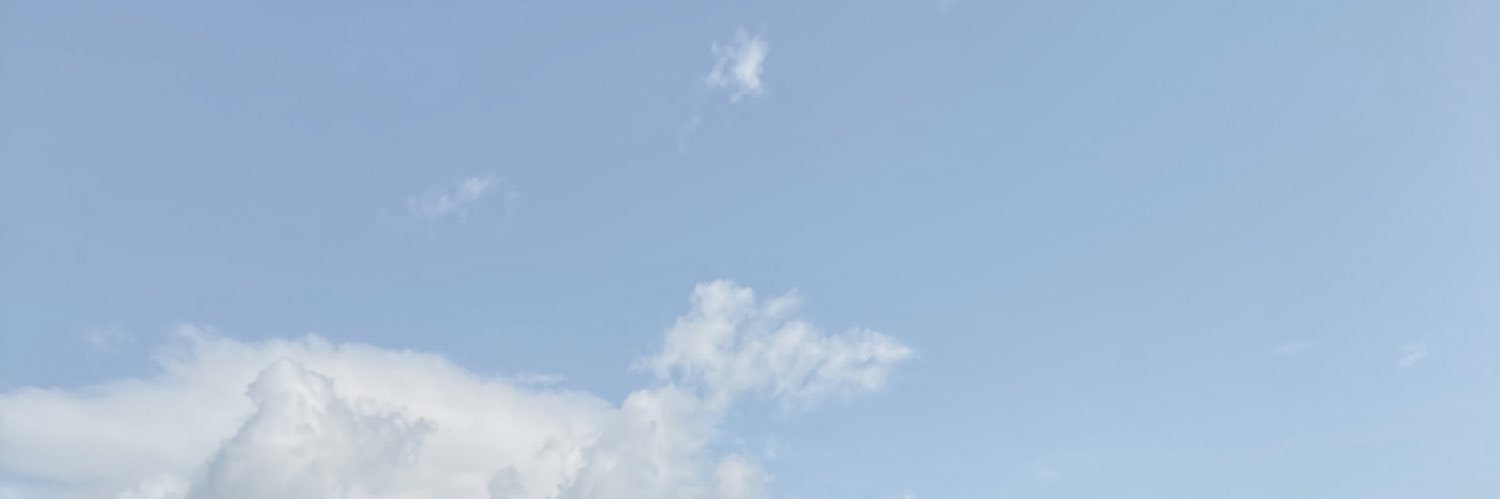 cindymndt's profile banner image