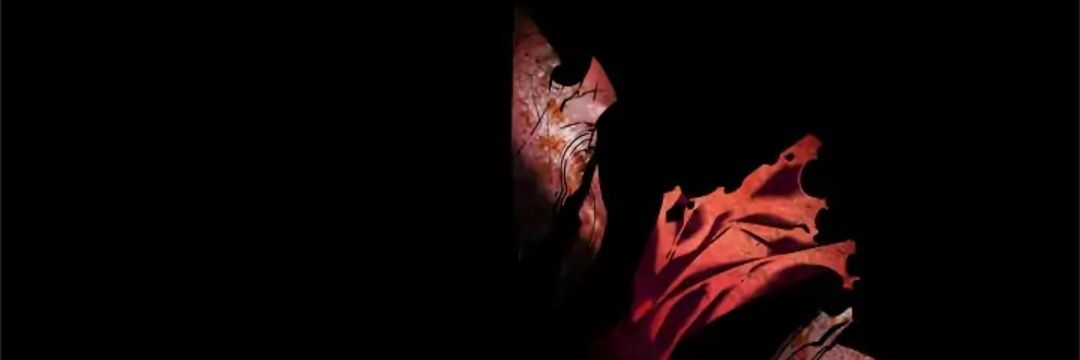 straightlines21's profile banner image