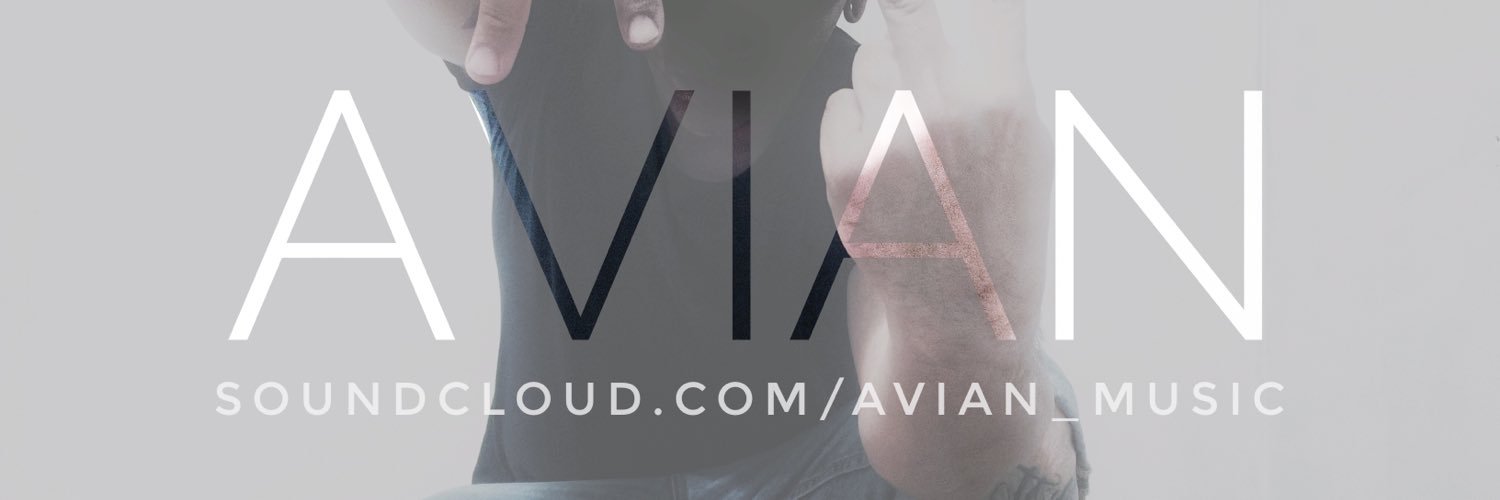 AVIANmusic's profile banner image