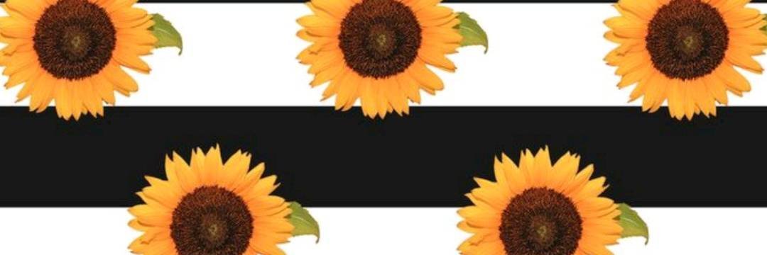 timelord1986's profile banner image