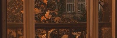 julz banner