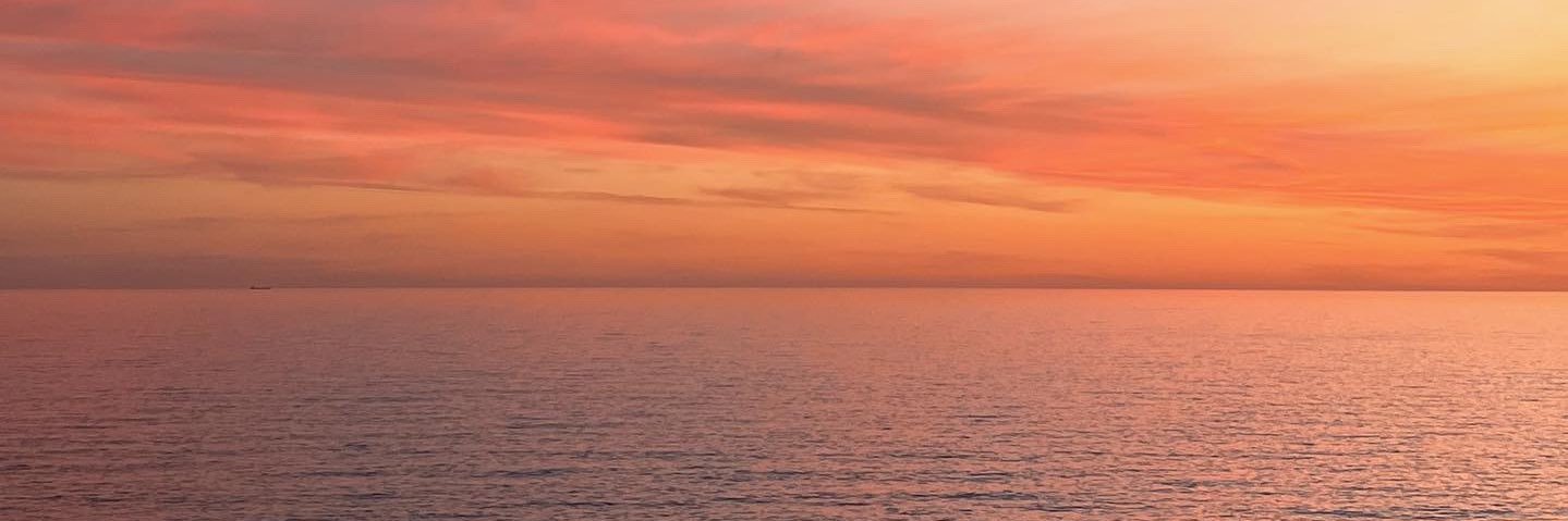 leilanumen's profile banner image