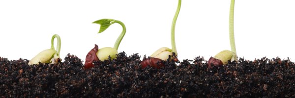 SEEDSConsulting Profile Banner