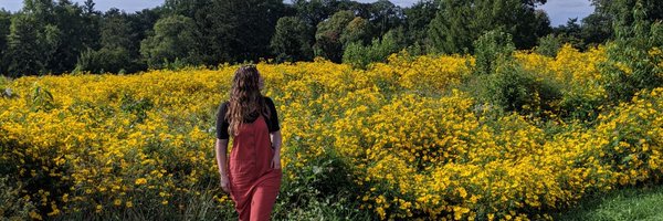 WhitneyBaum Profile Banner