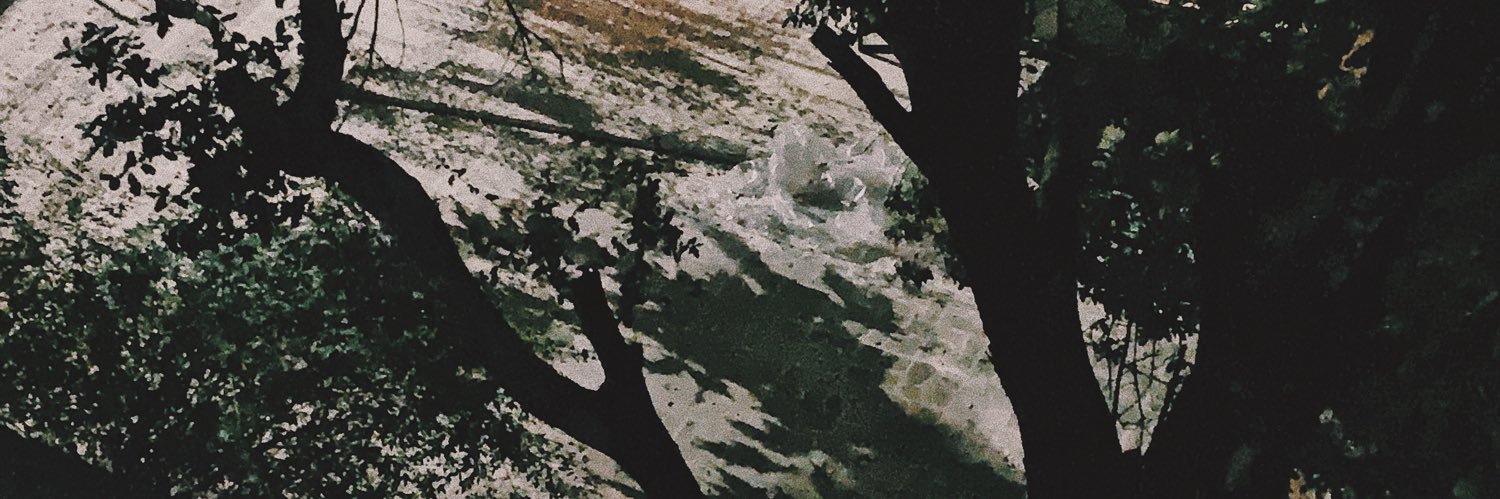ajaaayna's profile banner image