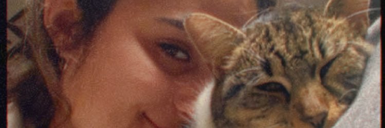 sandra831tm's profile banner image