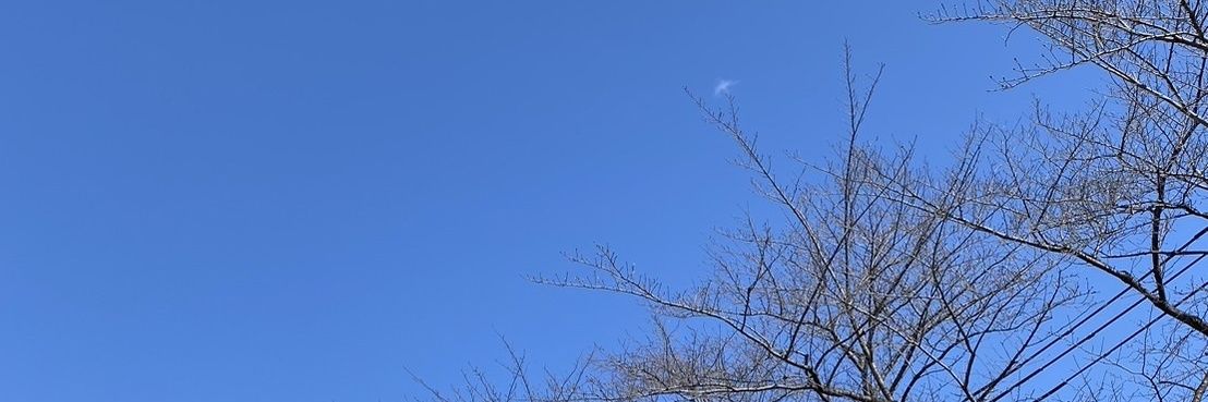 oosau's profile banner image