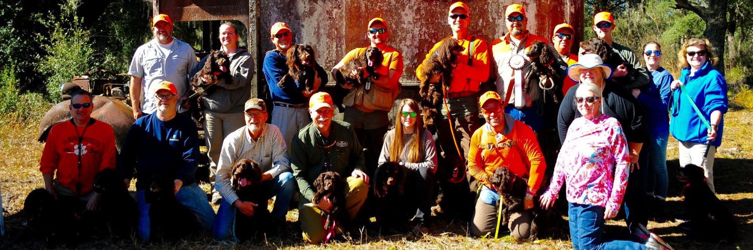 SoBoykinSpaniel's profile banner image