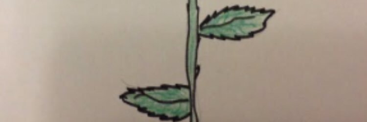amedaraz's profile banner image