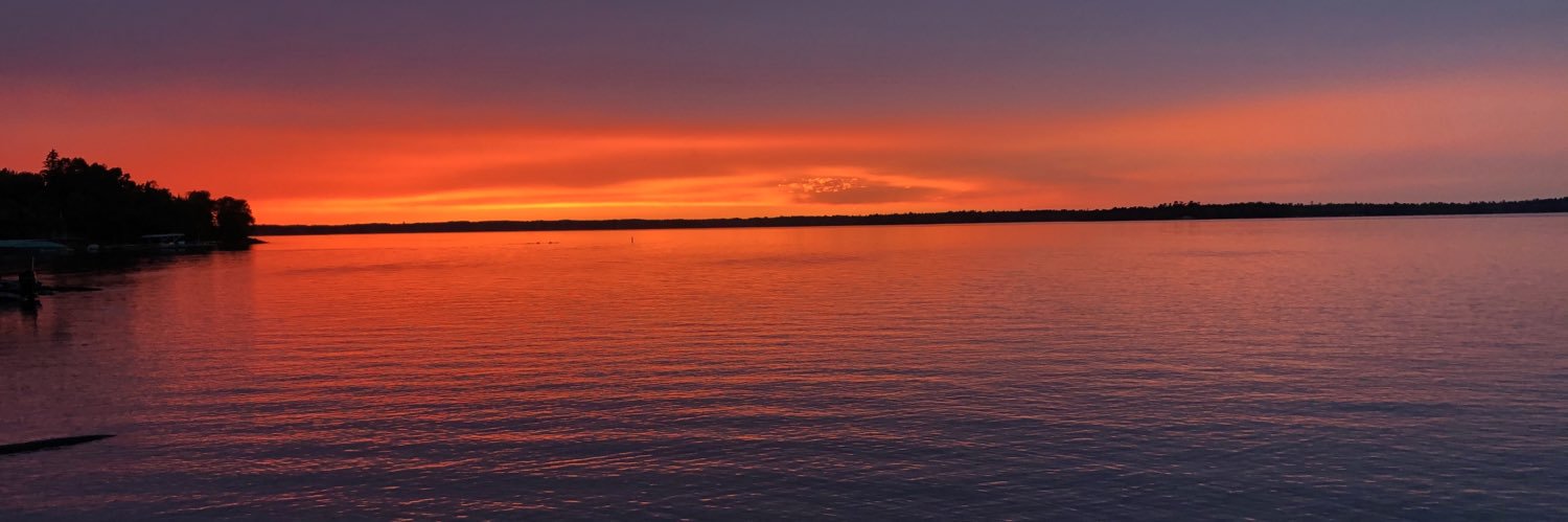 Kate Van Daele banner