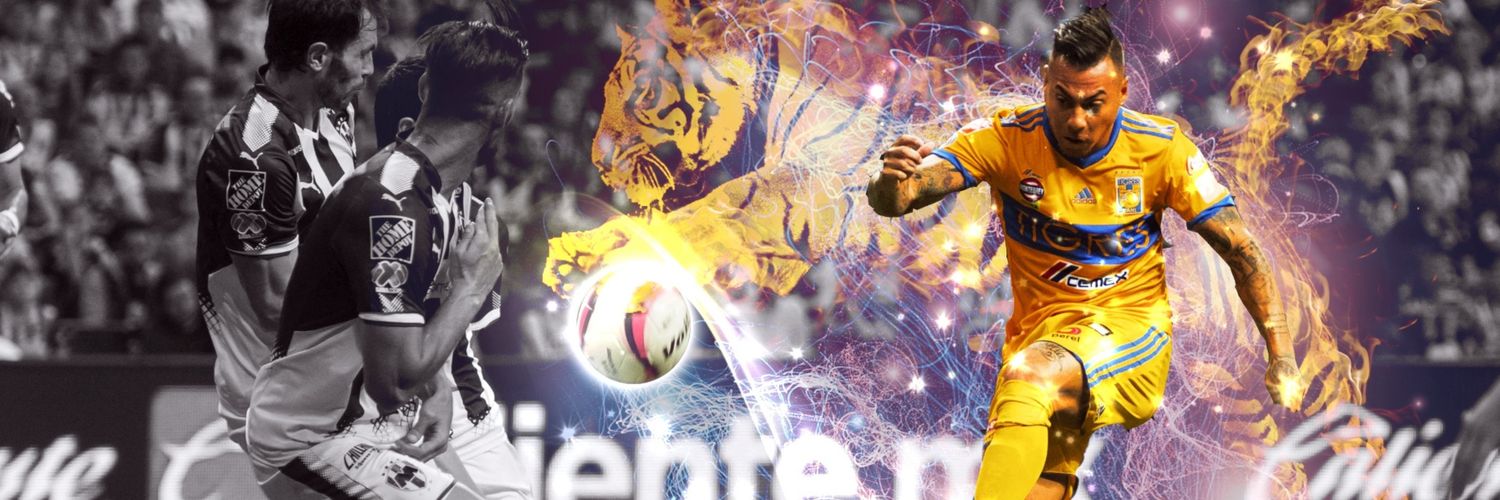 eltwigre's profile banner image