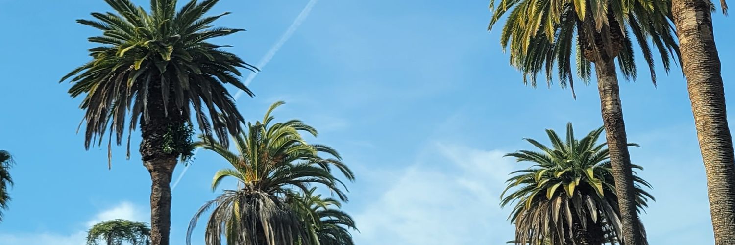 mathmiqu's profile banner image