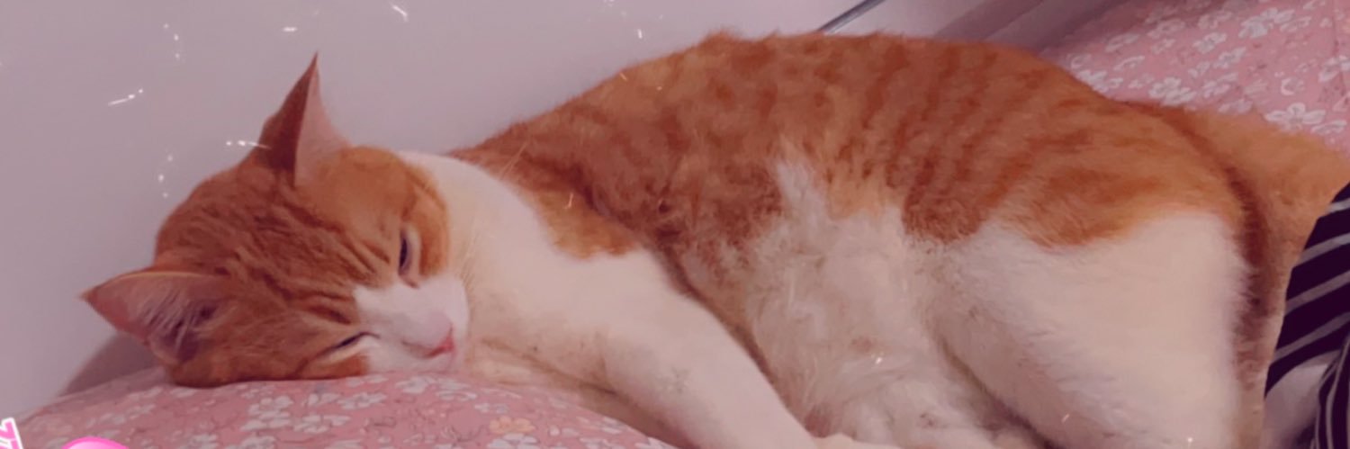 evillqueenn's profile banner image