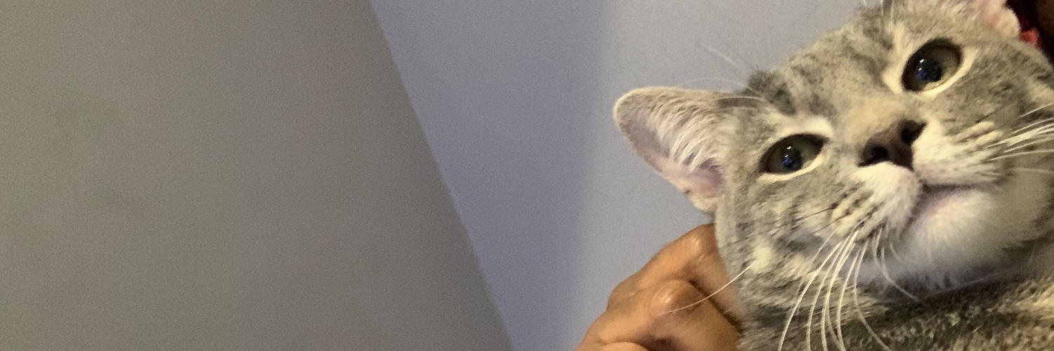 zeebeefleeb's profile banner image