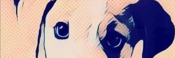 BethdeSilva's profile banner image