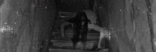 JIMYStaRSeed's profile banner image