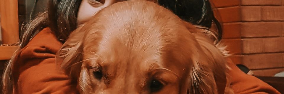 Jjjccrr's profile banner image