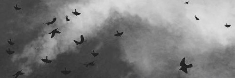 M0_3t's profile banner image