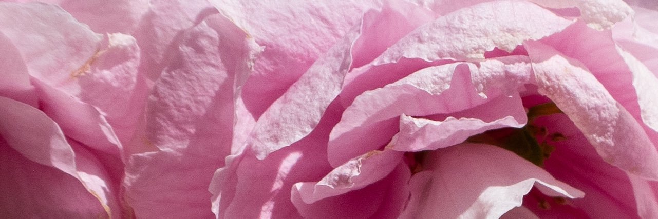 _bethwebber's profile banner image