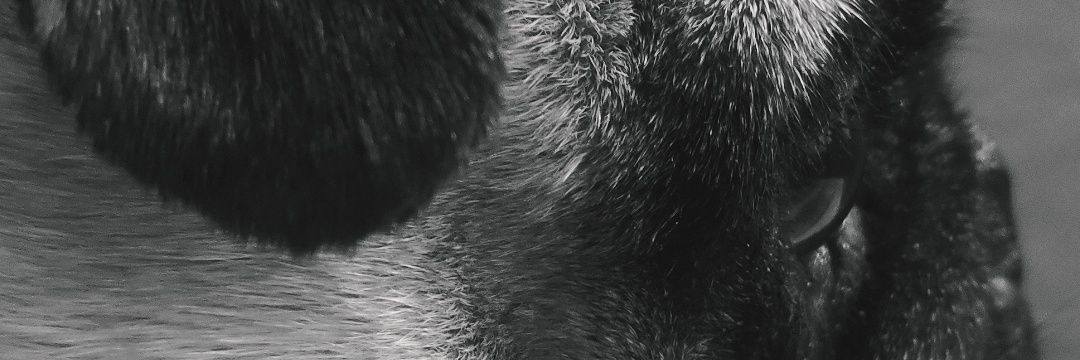 alejandro_prieg's profile banner image