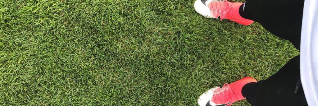 Zachychan02's profile banner image