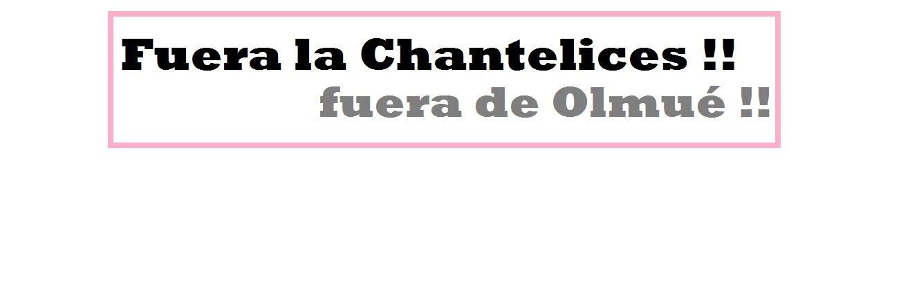 OlmueResiste's profile banner image