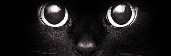 LuisJesusVM's profile banner image