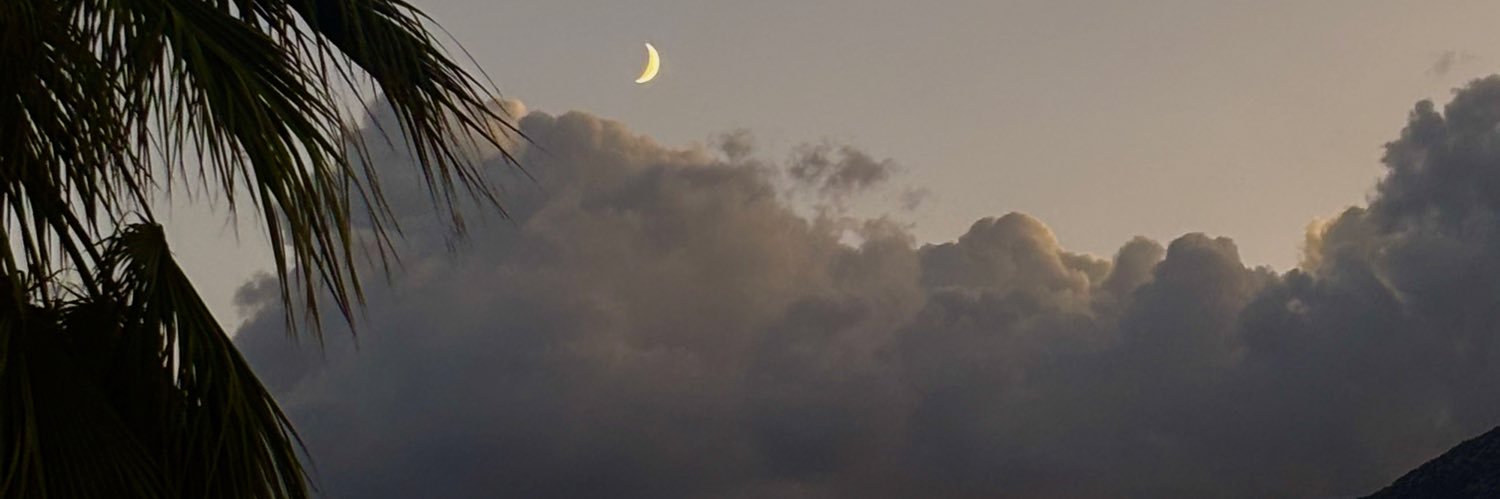 lxllie's profile banner image
