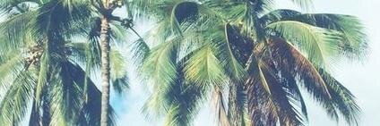 Susanpailin's profile banner image
