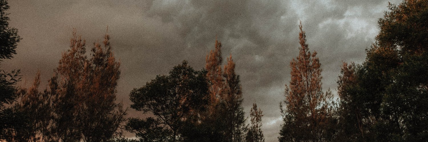 martarmachado's profile banner image