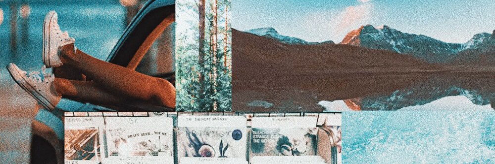 lindseydanasko's profile banner image
