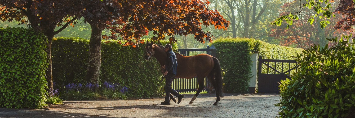 Coolmore's banner