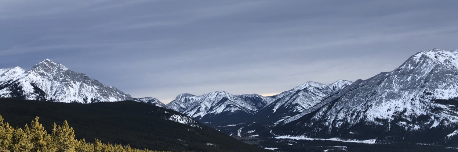Shaun Connell banner