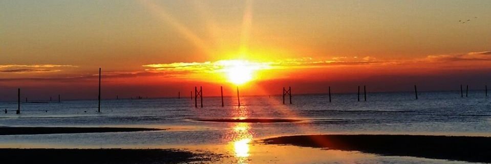 lettermanbiloxi's profile banner image