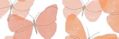 cassbenn16's profile banner image