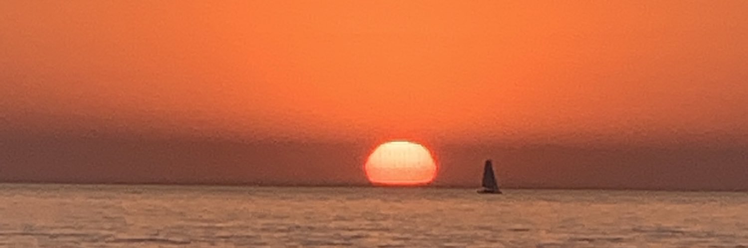 alejandra rey banner