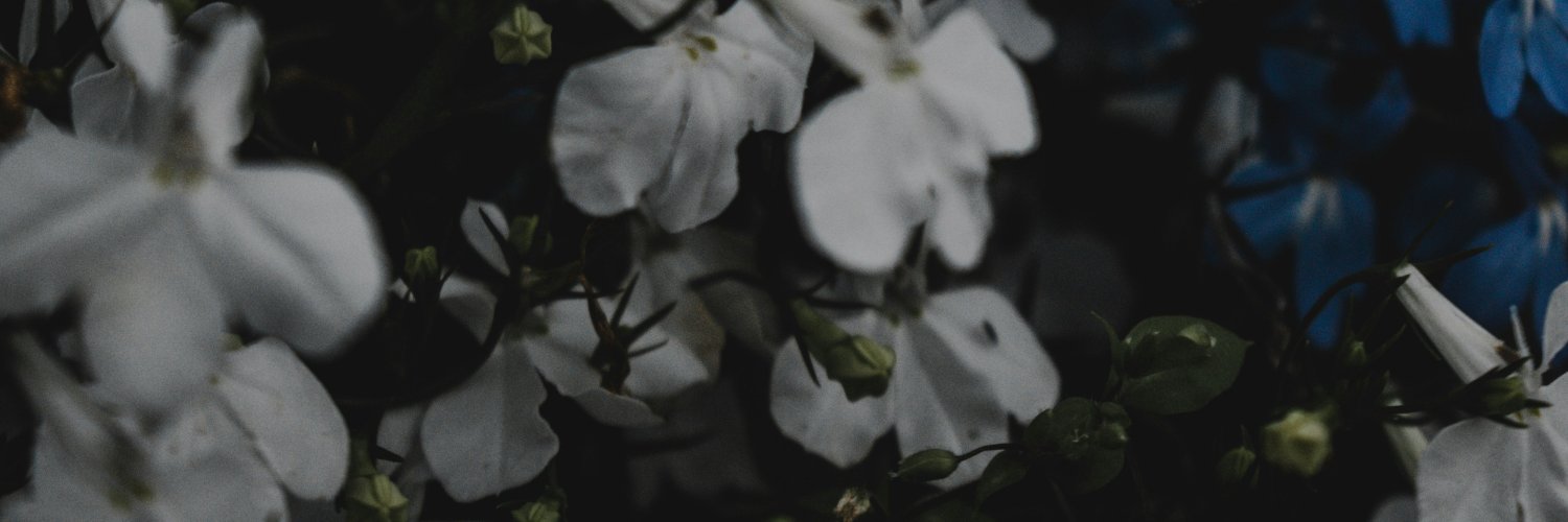 0MasterKin0's profile banner image