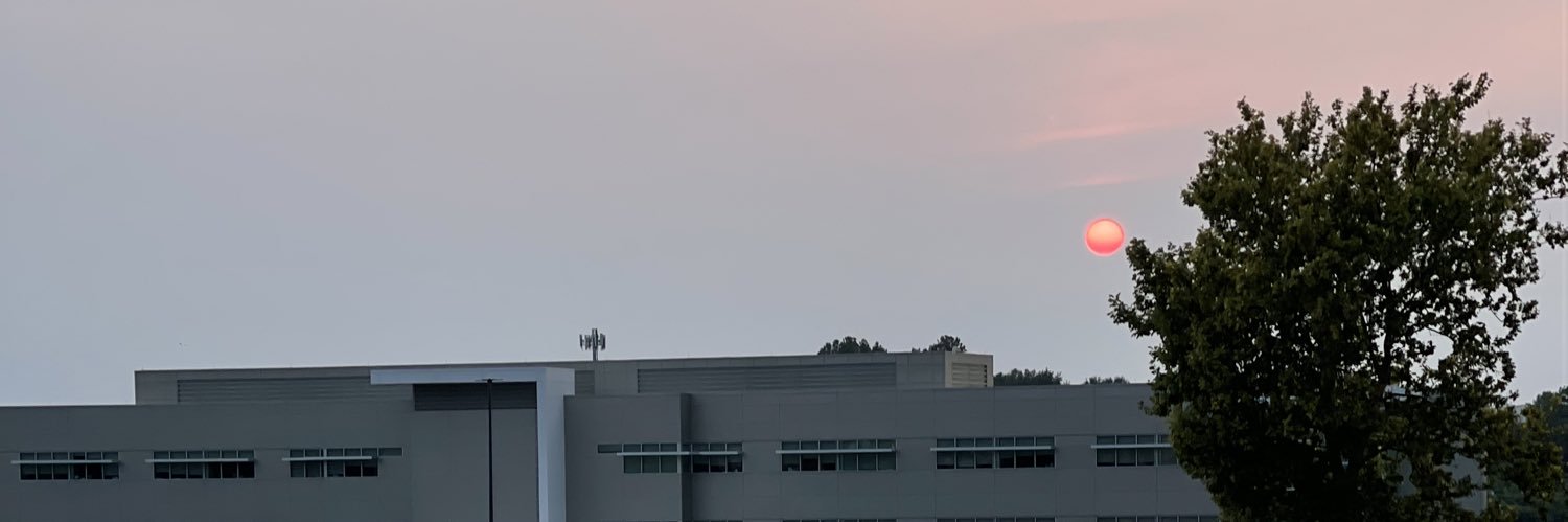 LongLiveDevinty's profile banner image
