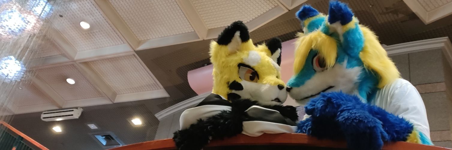 ビスカ🔰/NEXT→けもすて！ banner