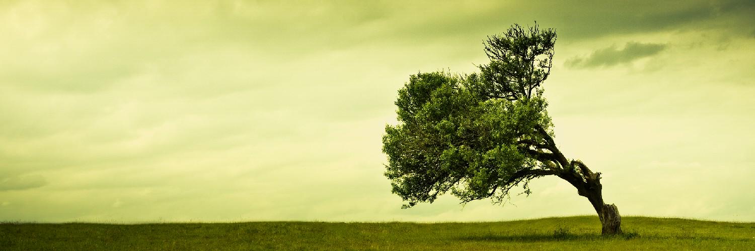 hsn_abidi's profile banner image