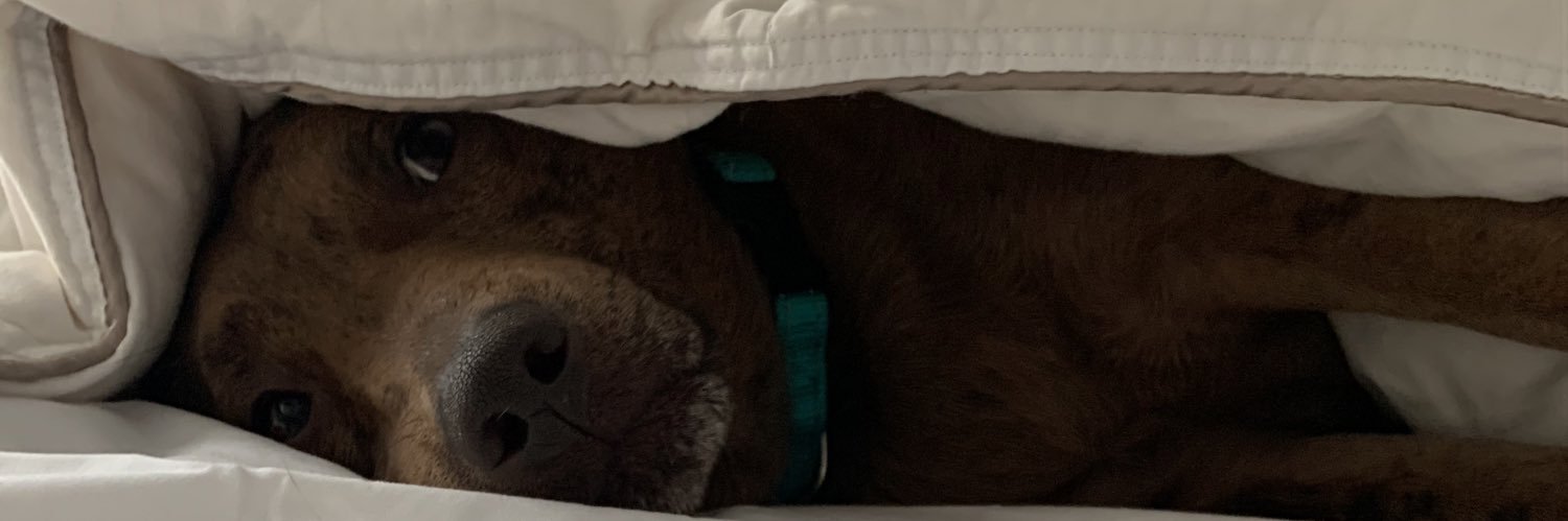 GetzMadison's profile banner image