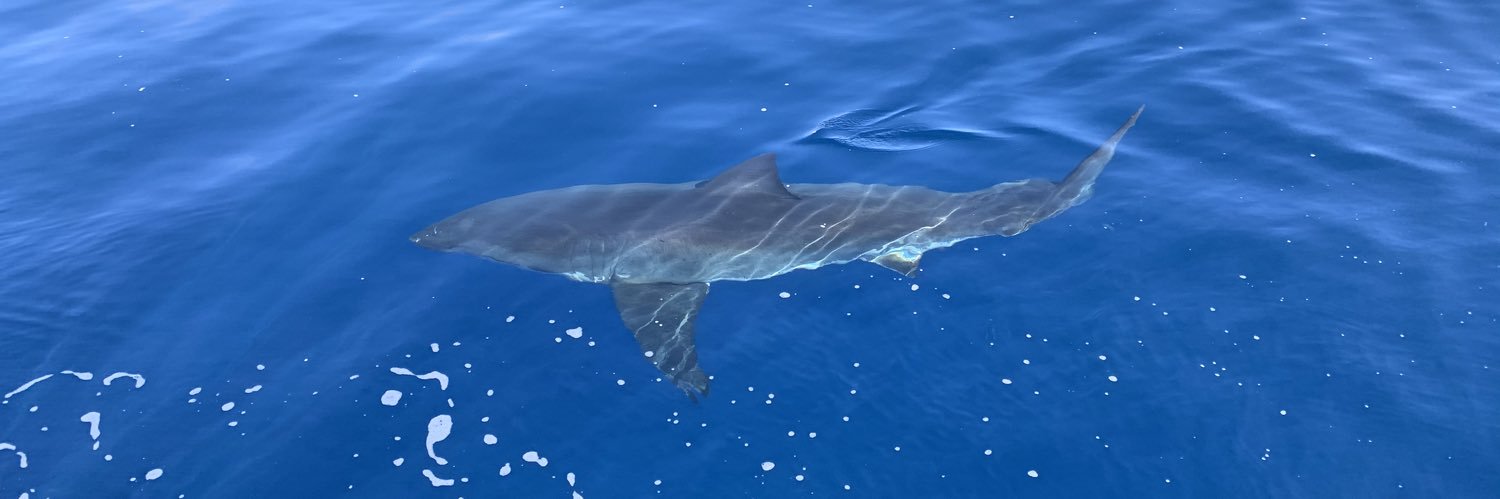 Lorena Silva Garay banner