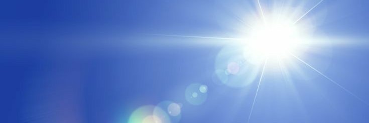 독 banner