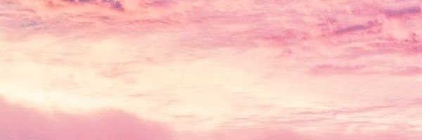 peanutkidnapper's profile banner image