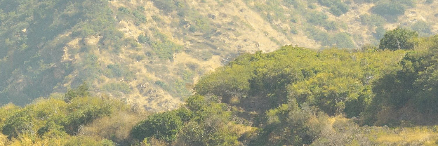 casper4e1's profile banner image